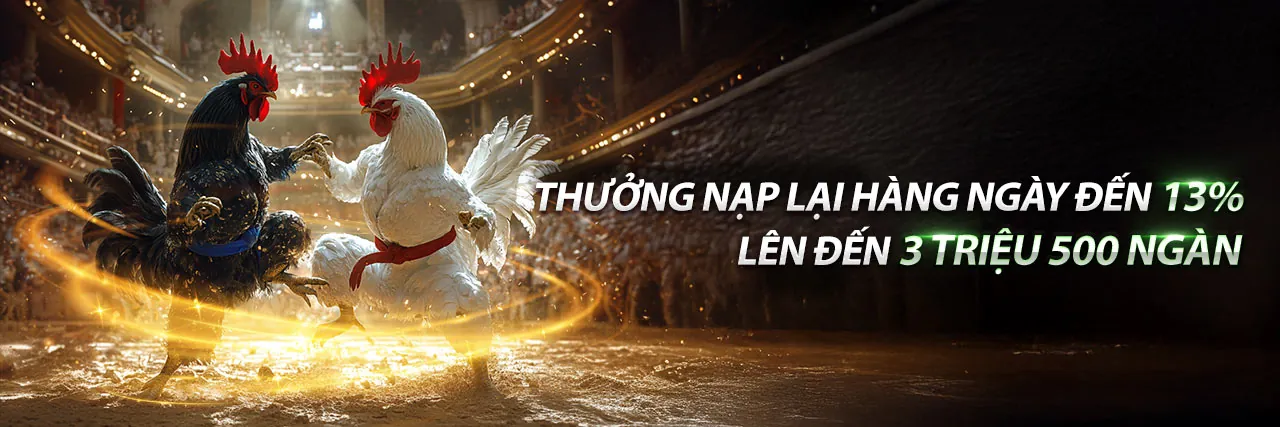 Đá Gà Trực Tuyến 789B Khuyến Mãi